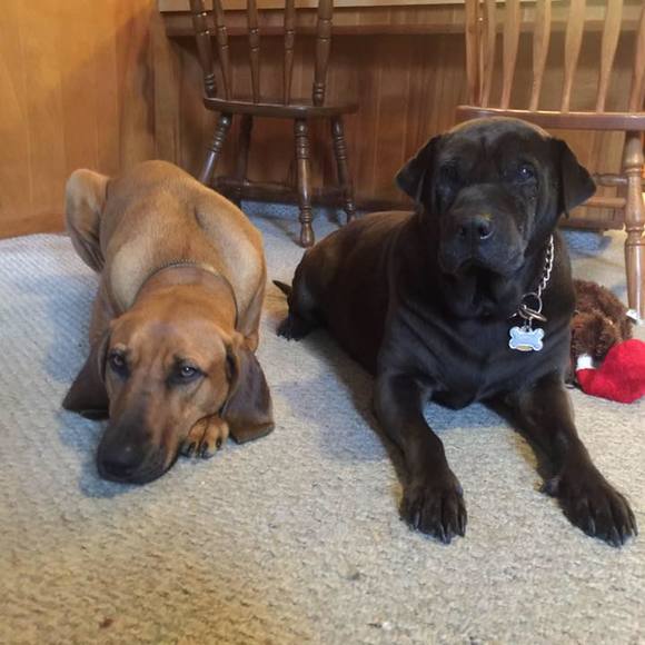 Meet your Posher, Bethany - Picture 1 of 1